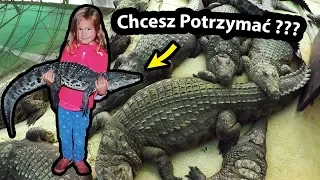 Prawdziwy Krokodyl !!! - Trzymamy go na Rękach ... (Vlog #247)