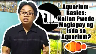 How to Cycle a Newly Set Up Aquarium