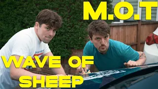 Wave of Sheep - M.O.T