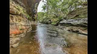 The Drip, Golburn River National Park. NSW mini Carnarvon Gorge.