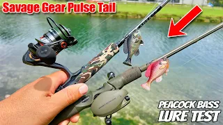 Will These Lures Attract Fish???