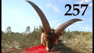 ОХОТА В ЗАКАЗНИКЕ КУАТРО КОЛИНАС theHunter Call of the Wild # 257