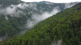 59 seconds of DRONE FOOTAGE - Casa de piatra - Apuseni