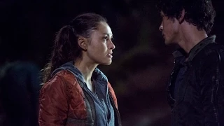 Bellamy & Raven | Still