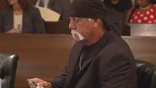 Hulk Hogan Sex Tape Lawsuit Against Gawker Gets Interesting