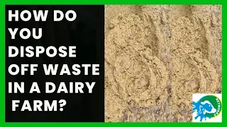 Waste management in a dairy farm : Manure/Biogas production. House of  Hope Dairy Farm