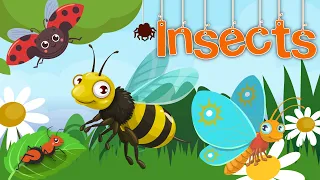 Insects Video Lesson | ABC Reading for Kids | Educational videos for Toddlers | Home schooling