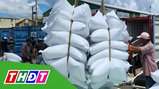 Giá gạo Việt xuất khẩu cao nhất thế giới | THDT