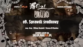 BUKA - 09 Sprawdź środkowy (Pokój 003 LP)