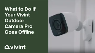 What to Do If Your Vivint Outdoor Camera Pro Goes Offline | Vivint Tips & Tricks