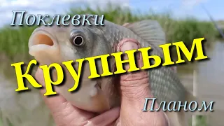 ✨УЕЛГИ✨ Карась не Спит Круглый Год!!!