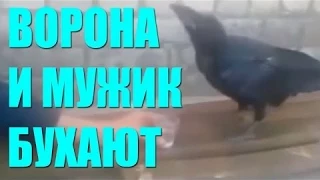 Тотальные приколы Умом Россию не понять #16 Funny jokes in Russia