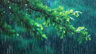 Fall Asleep in 3 Minutes - Heavy Rain and Thunderstorm for Beat Insomnia | ASMR, Meditation