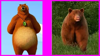 Grizzly and the lemmings Character in real life