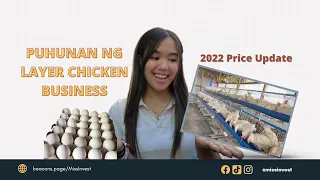 EGG BUSINESS FOR BEGINNERS 🥚 2023 Puhunan/Capital ng 200 heads RTL Chicken Layer (Ready to lay)