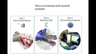 Метод полимеразной цепной реакции. ПЦР