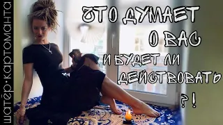 Что он о вас думает и будет ли действовать? расклад на таро онлайн 😎 Амира Фридрих 🔥