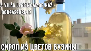 Сироп. Лучший  в мире рецепт из цветов бузины.HÁZI BODZASZÖRPJE. Elderflower syrup.