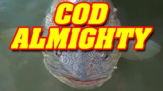 COD ALMIGHTY