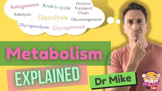 Metabolism Overview