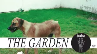 The Garden - "This Could Build Us a Home" (Full Album Stream)