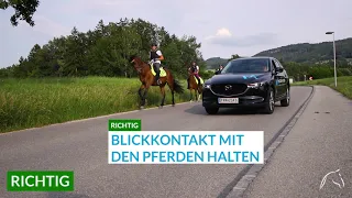 NOEPferde im Straßenverkehr :: Situation 04 | "Überholmanöver mit Reitergruppe"