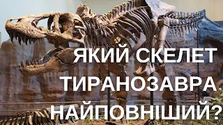 УСІ ВІДОМІ СКЕЛЕТИ ТИРАНОЗАВРІВ. Частина перша