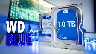 Why are WD Blue HDD's so popular? Western Digital Blue 1TB Review