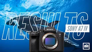 Sony a7IV Underwater in Socorro // Ikelite 200DL Housing(4K)