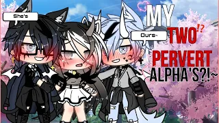 🐺~My TWO PERVERT alpha’s?!~🥵GLMM original Gachalife minimovie [GACHA]