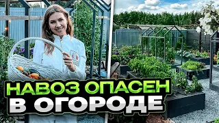 ЗАБУДЬТЕ ПРО НАВОЗ! ОГОРОД МОЕЙ МЕЧТЫ | Высокие урожайные грядки своими руками | Как облегчить труд