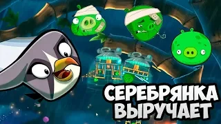 Angry Birds 2 #5 ПО-ХОРОШЕМУ СВИНЬИ НЕ ХОТЯТ 😜