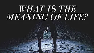 What's the Meaning of Life? (According to Movies)