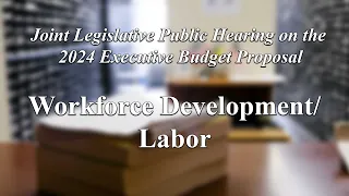 Joint Legislative Public Hearing on 2024 Executive Budget Proposal: Workforce Development/Labor