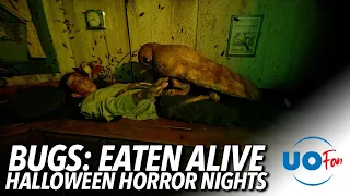 Bugs: Eaten Alive at Halloween Horror Nights 31 | Universal Orlando