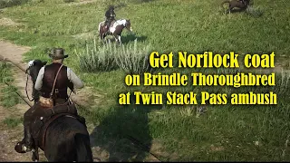 Twin Stack Pass ambush get me Brindle Thoroughbred with Norflock Coat - Red Dead Redemption 2.