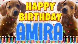 Happy Birthday Amira! ( Funny Talking Dogs ) What Is Free On My Birthday