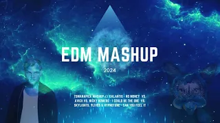 EDM MASHUP 2024 // No Money VS. I Could Be The One VS. Can You Feel It (Tsmanapick Mashup)