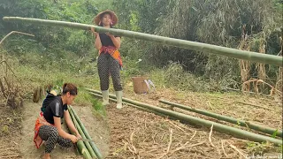 Full video: Single mother Building a new house with bamboo alone.