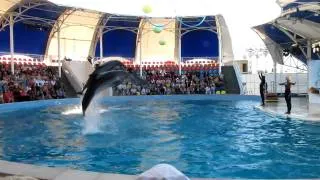 Коктебельский дельфинарий - прыжки дельфинов