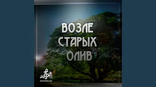 Возле старых олив