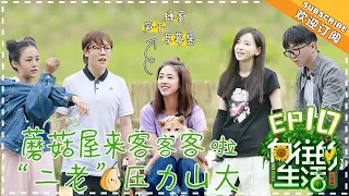 《Back to Field 2》EP10  | Huang Lei, Peng Yuchang, He Jiong, Henry Lau【湖南卫视官方频道】