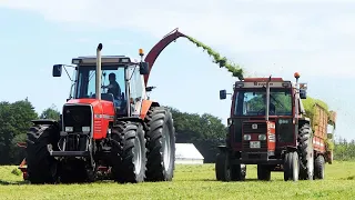 Massey Ferguson 3680 in the field chopping grass w/ Taarup 605B Forage Harvester | DK Agriculture
