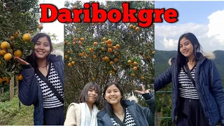 Daribokgre | Nokrek Meghalaya | Prosalline Sangma