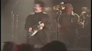 Gary moore blues alive concert (1993) High Fidelity