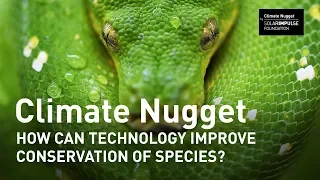 Earth Day 2019: How can technology protect biodiversity?