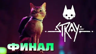 АНТОША ПРОХОДИТ ИГРУ ПРО КОТИКА - ФИНАЛ | Stray #3