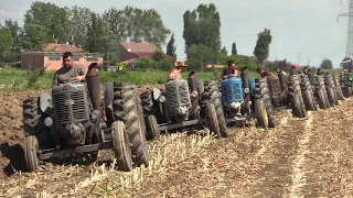 Baura 2023 (domenica) - Aratura d'epoca e Landini testacalda | Vintage hot bulb tractors plowing