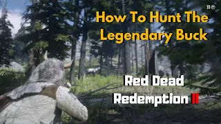 How To Find And Kill Legendary Buck Red Dead Redemption 2