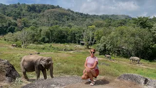 Парк слонов Bukit Elephant Park (Пхукет)